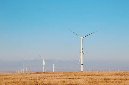 風力發(fā)電有危害 為啥歐美忙著大面積拆除,中國卻還要大力發(fā)展