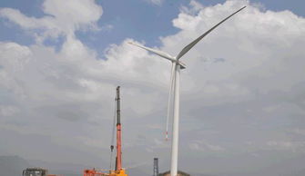 為什么風力發電機轉得很慢卻依舊能發電？